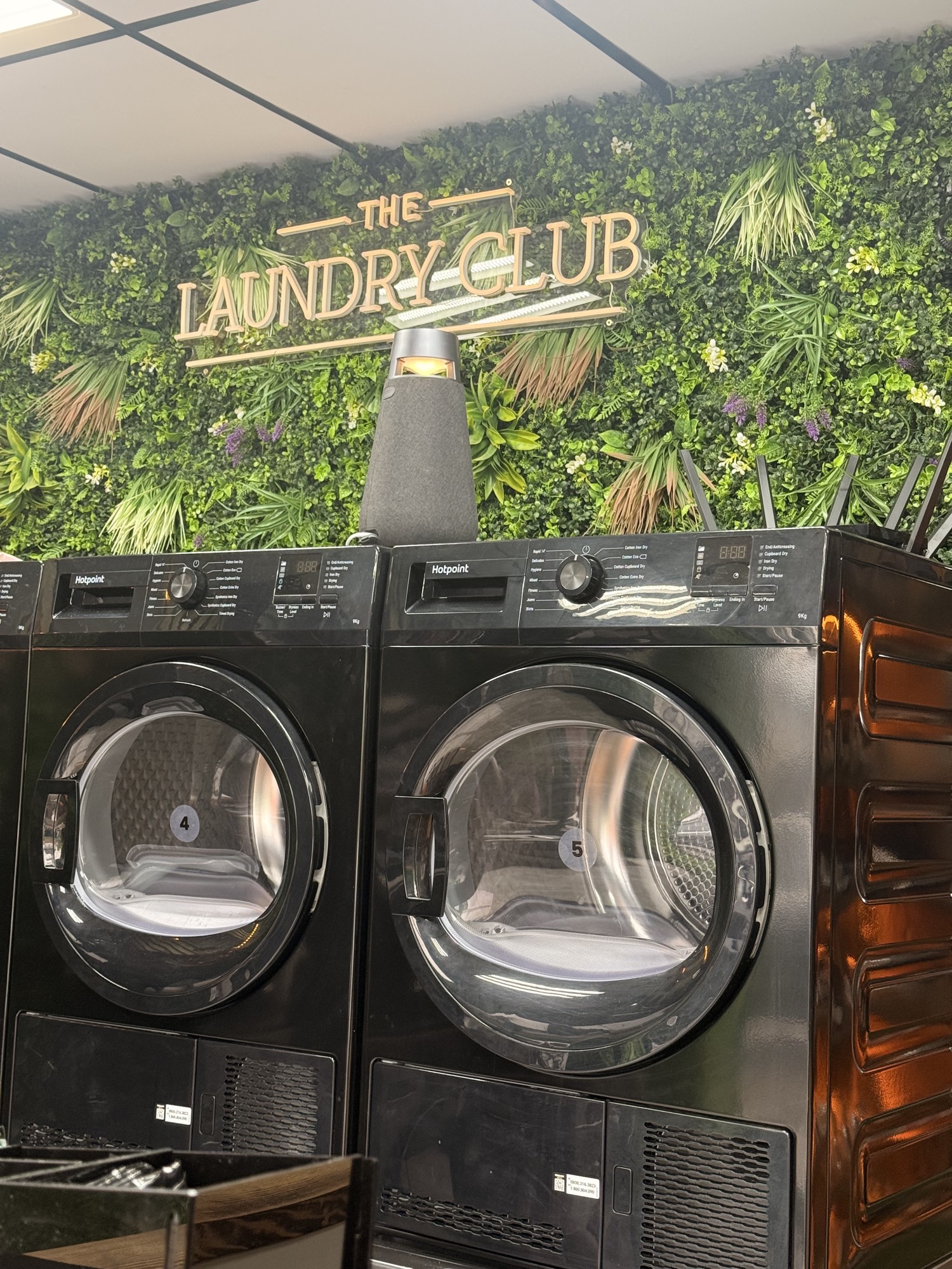 The Laundry Club machines in front of the living wall sign